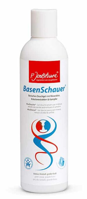BasenSchauer Duschgel 250ml-Dose