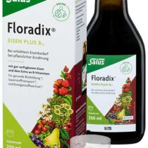 Salus Floradix Eisen plus B12 vegan Spezialtonikum